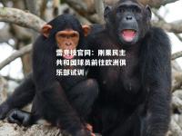雷竞技官网：刚果民主共和国球员前往欧洲俱乐部试训