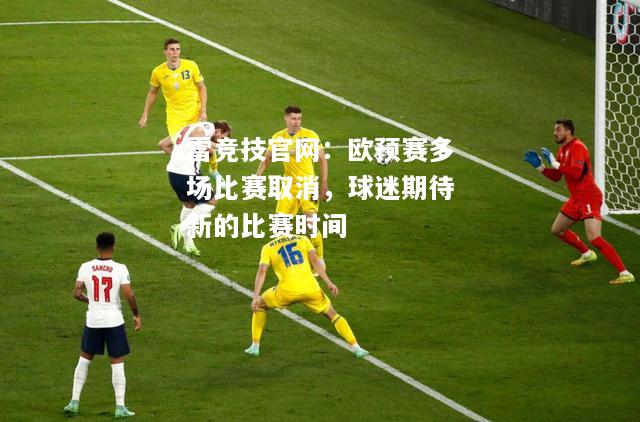 雷竞技官网：欧预赛多场比赛取消，球迷期待新的比赛时间
